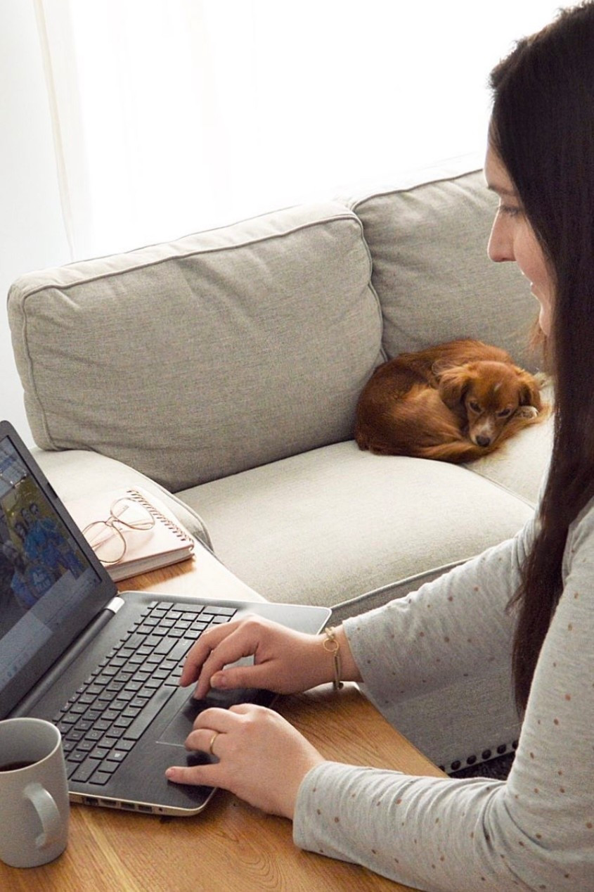 Our sweet Bella 🐾🐕 #laptop #workfromhome 

#LTKHome