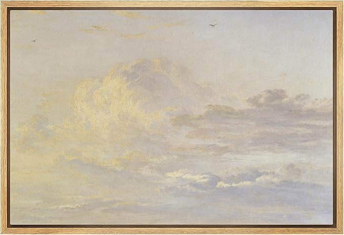 SIGNLEADER Framed Canvas Print Wall Art Cloudy Day Scenic Wilderness Illustrations Modern Art Far... | Amazon (US)