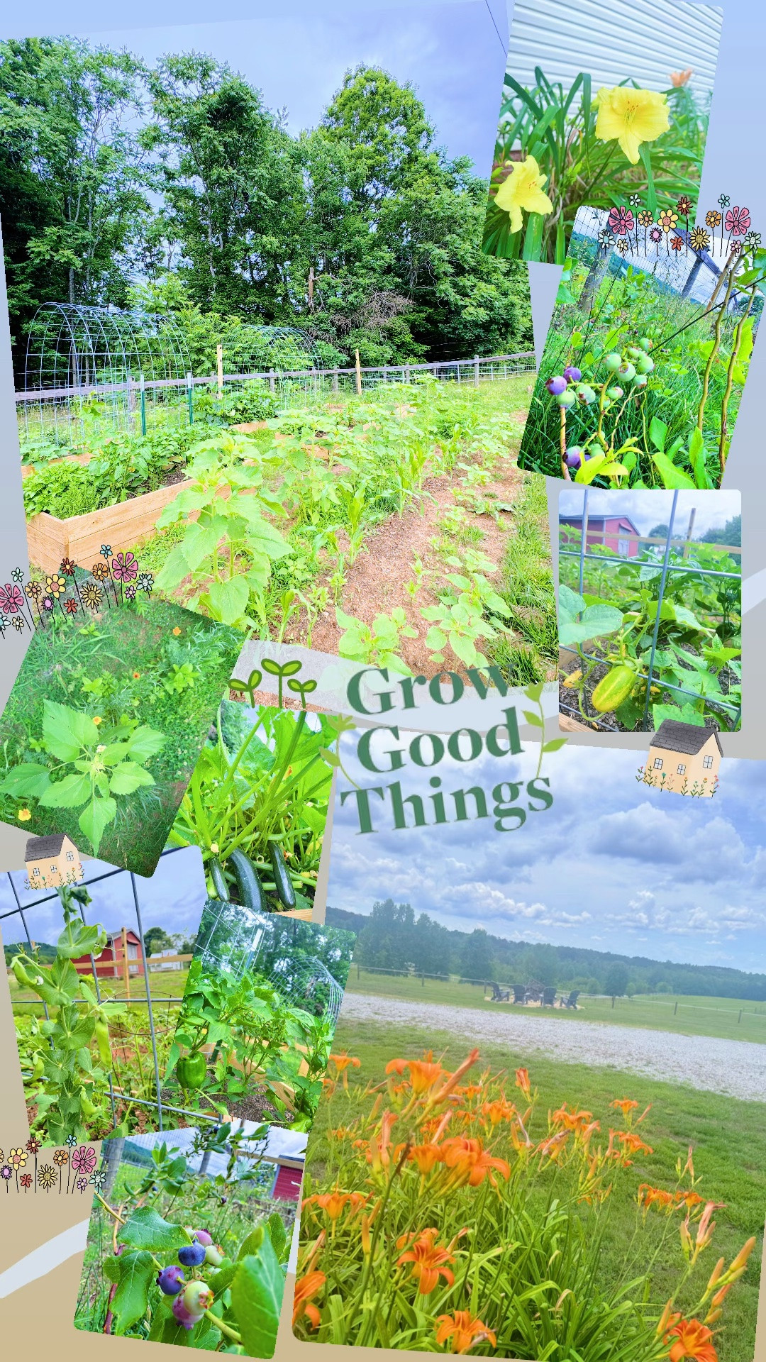 Good things grow !!!