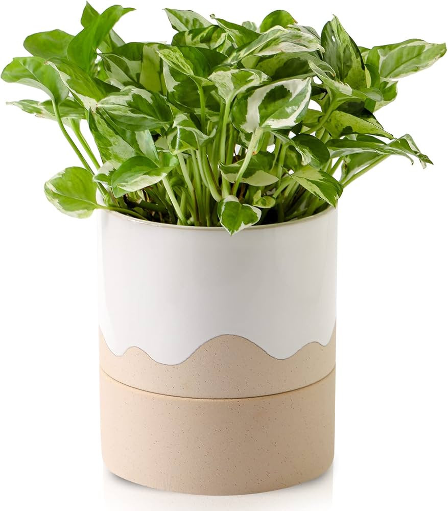 Nihow Self Watering Plant Pot: 6 Inch Ceramic Planter with Drainage Hole & Water Storage Plus for... | Amazon (US)