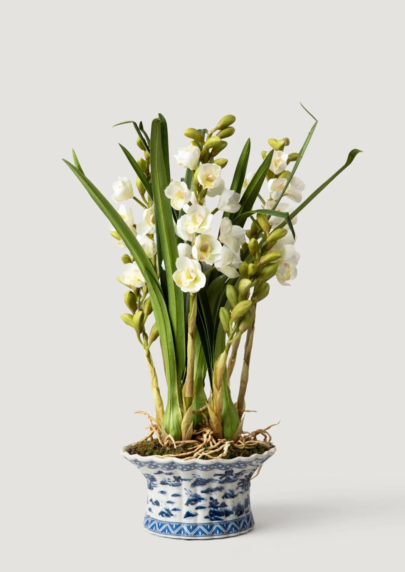 White Faux Orchid Arrangement in Blue Ceramic Pot - 27" | Afloral