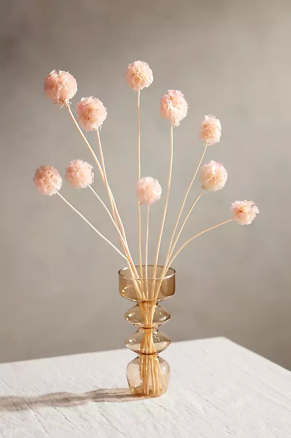 Preserved Scabiosa Bunch | Anthropologie (US)