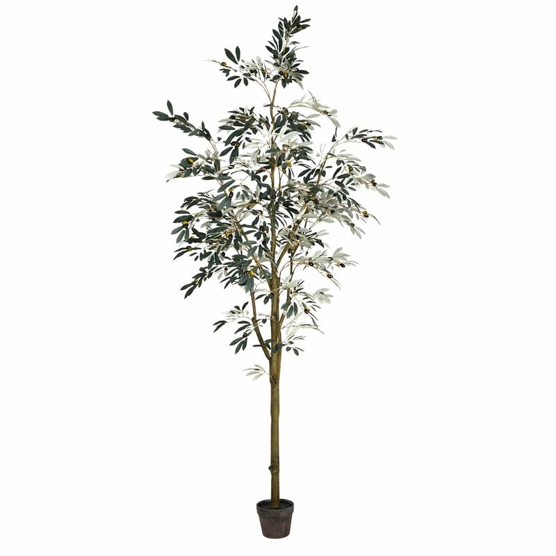 Artificial Potted Olive Floor Foliage Tree in Pot | Wayfair Professional