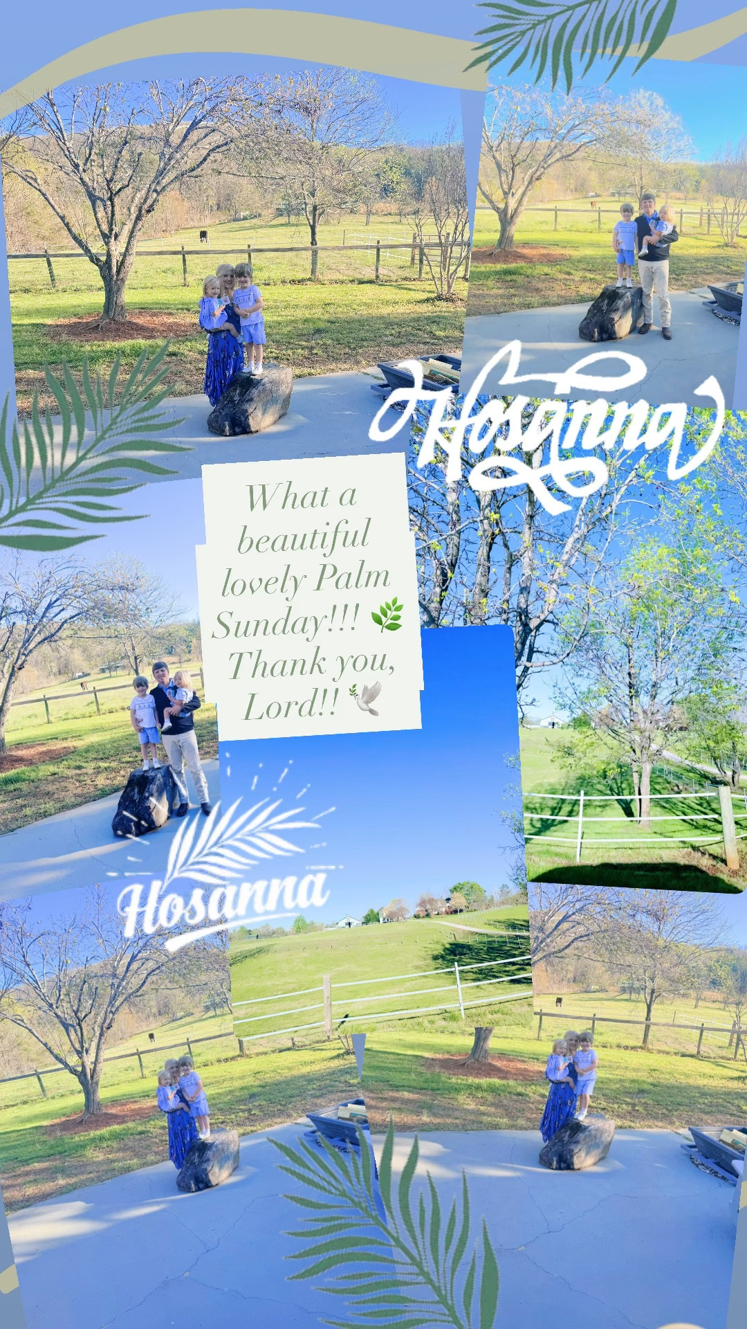 What a beautiful lovely Palm Sunday!!! 🌿 Thank you, Lord!! 🕊️ 