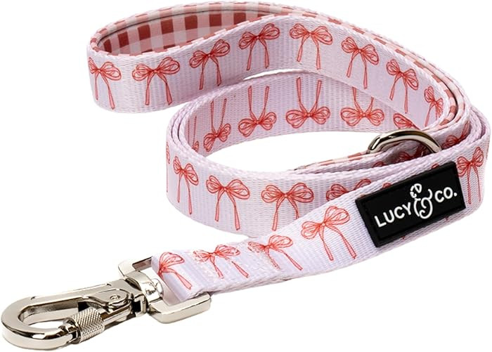 Lucy & Co. Designer Dog Leash - Pet Accessories - Thick Dog Leash - Padded Handle for Comfort - B... | Amazon (US)