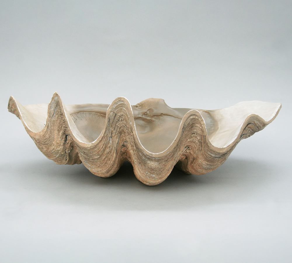 OPEN BOX: Fossilized Clam Decorative Object | Pottery Barn (US)