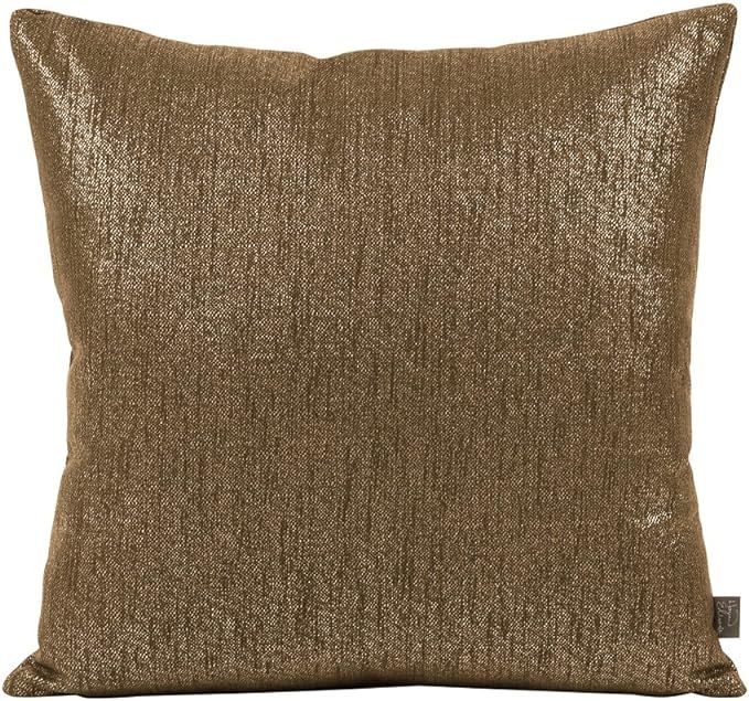 2-293 Square Pillow, 20" x 20", Glam Chocolate | Amazon (US)