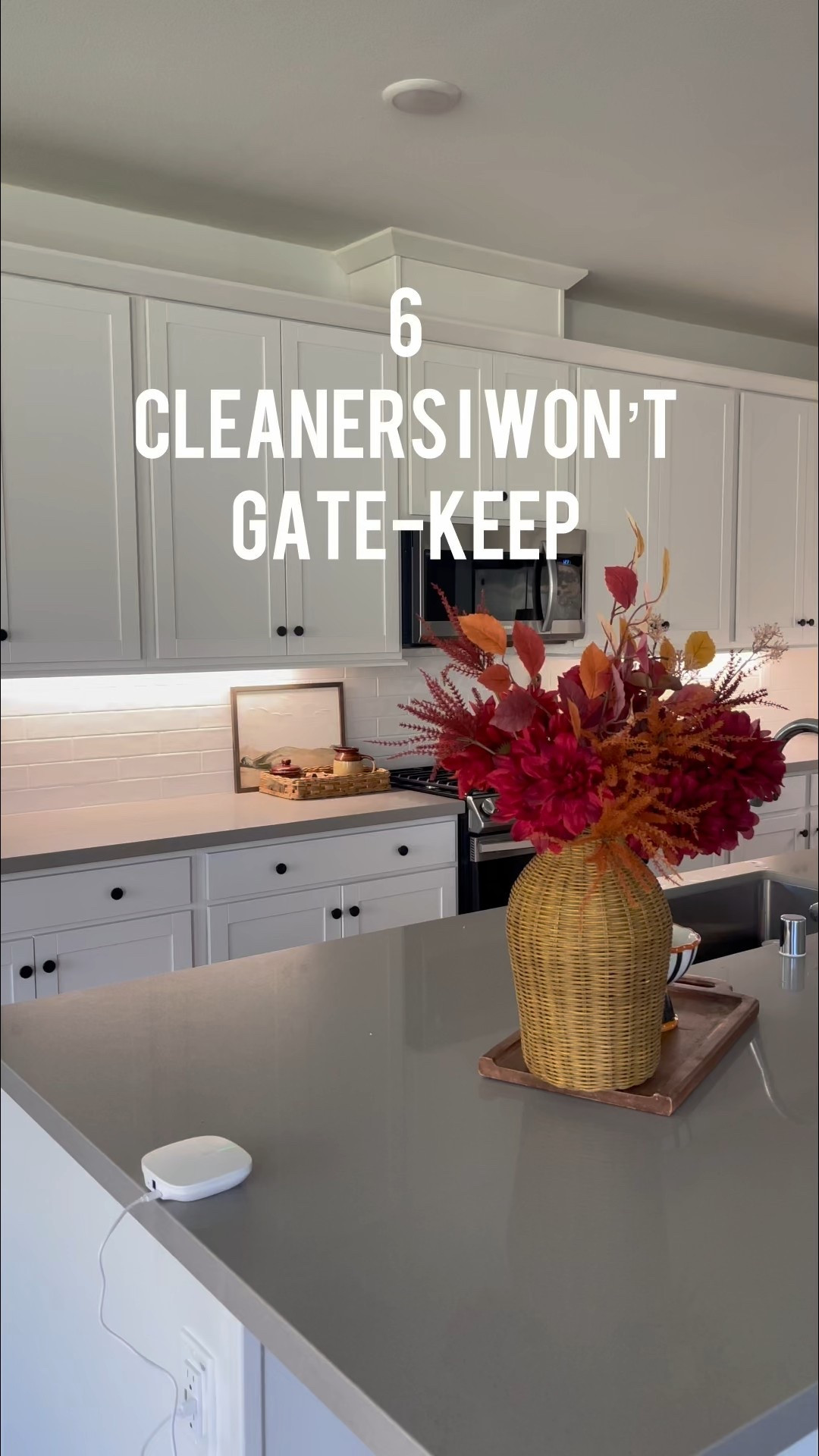 My weekly go tos for cleaners in my kitchen #kitchencleaners #cleaningproducts #kitchen 

#LTKHome