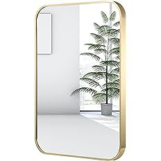 JENBELY 22x30 Inch Gold Bathroom Mirror, Brushed Brass Gold Metal Framed Rectangular Mirror with ... | Amazon (US)