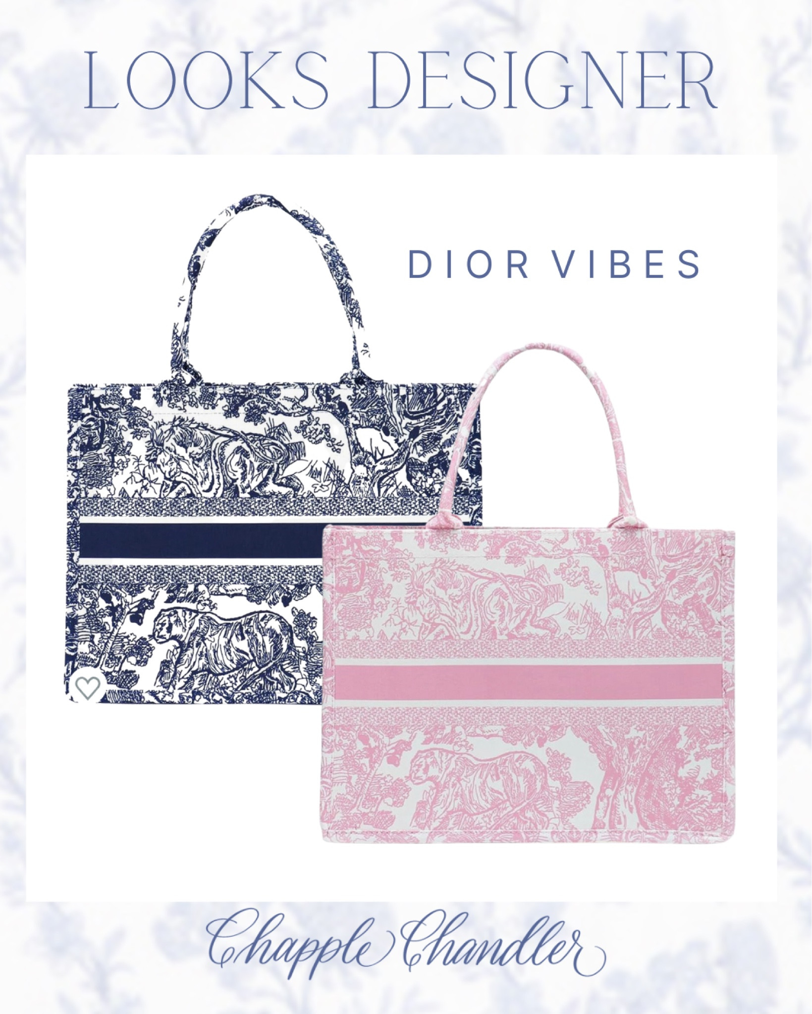 Designer inspired toile tote. Looks like Dior 🩵

#LTKFind #LTKunder50 #LTKitbag
