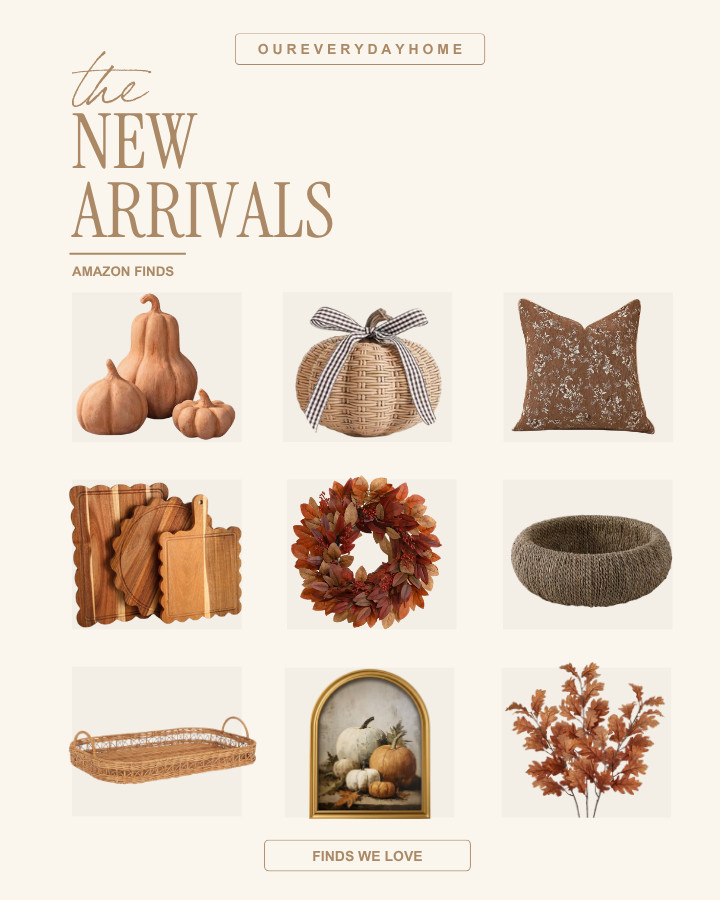 NEW FALL home decor arrivals
amazon fall home drop 

 #LTKSeasonal #LTKHome