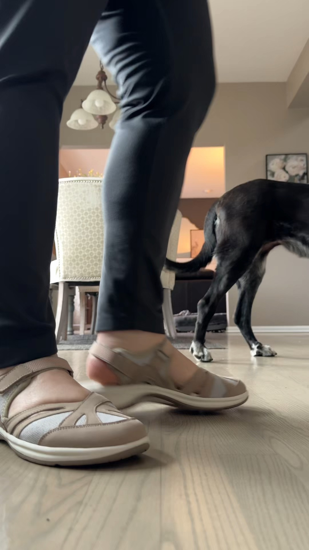 Easy Spirit has combined a walking shoe with a sandal and made the most comfortable summer shoe. Perfect for vacation or walking trips! Comes in multiple colors. Runs narrow so I’d size up or do a wide width if you have a wider foot. 

Vacation shoes, walking sandals, shoes to take on a trip, comfortable walking shoes, summer sandalss

#LTKSeasonal