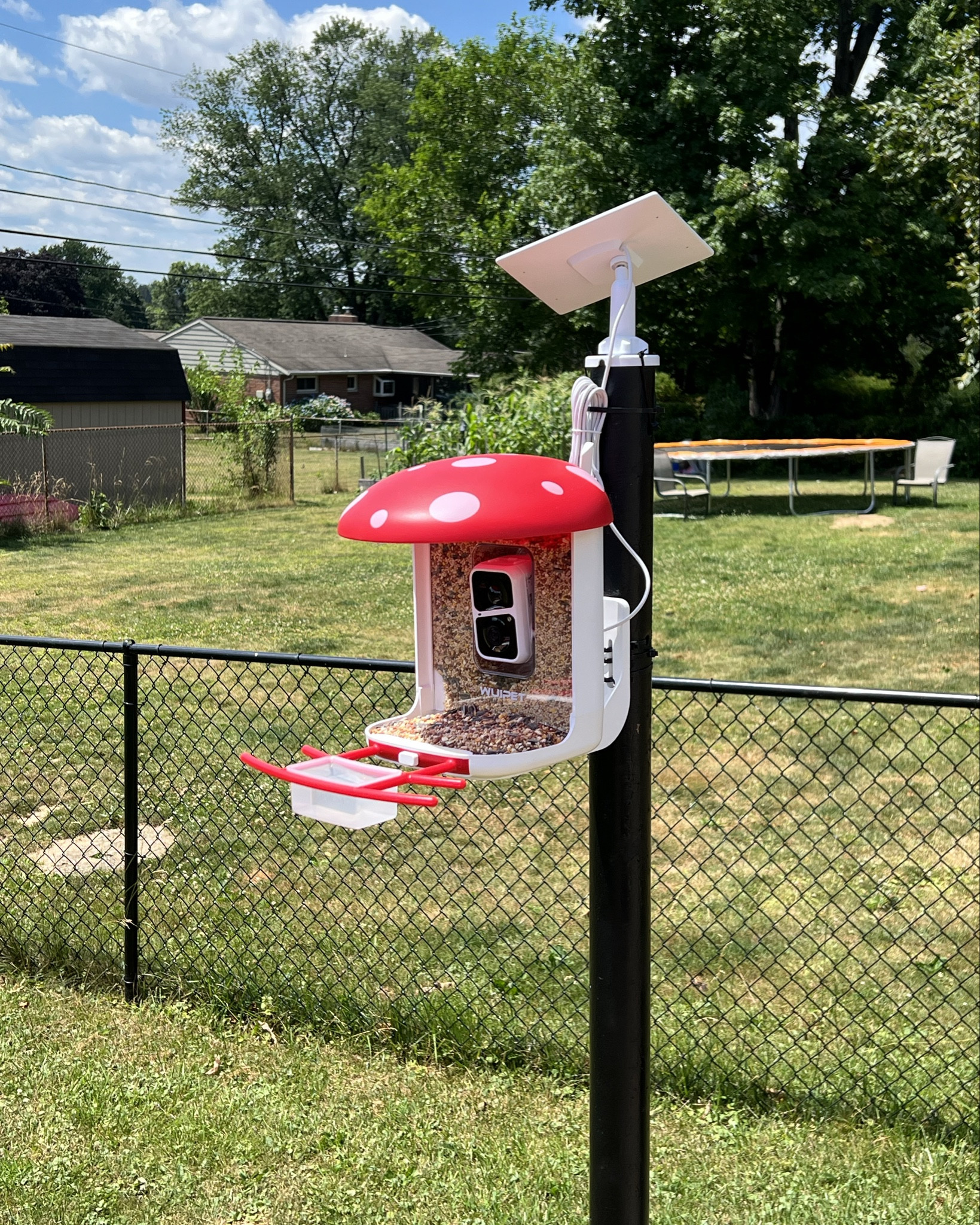 Had my first visitor to my bird cam! There is a coupon to clip! 

#LTKSaleAlert #LTKVideo #LTKHome