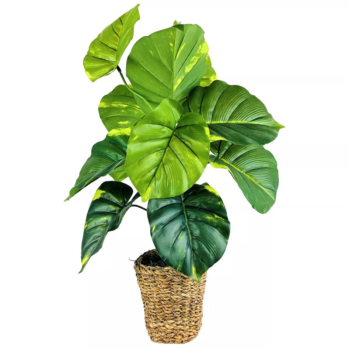 30" Faux Pothos in Braided Rope Basket | Kohl's