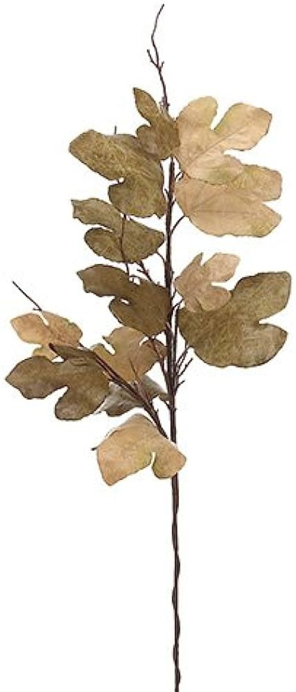 Arcadia Silk Plantation 47" Fig Leaf Spray Olive Green Tan (Pack of 6) | Amazon (US)