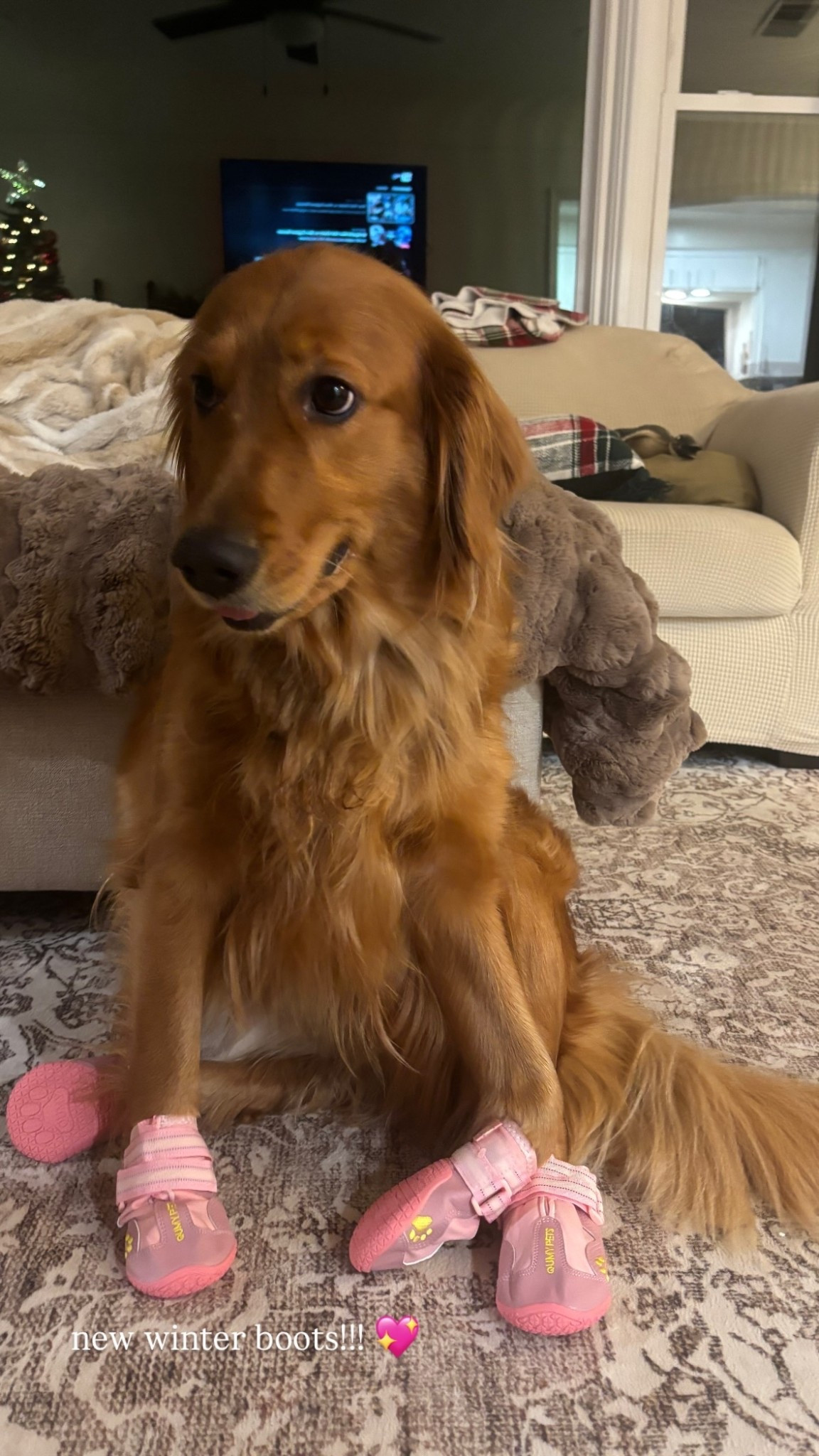 new winter boots!!! 💖

#LTKootd #LTKCyberWeek #LTKHoliday