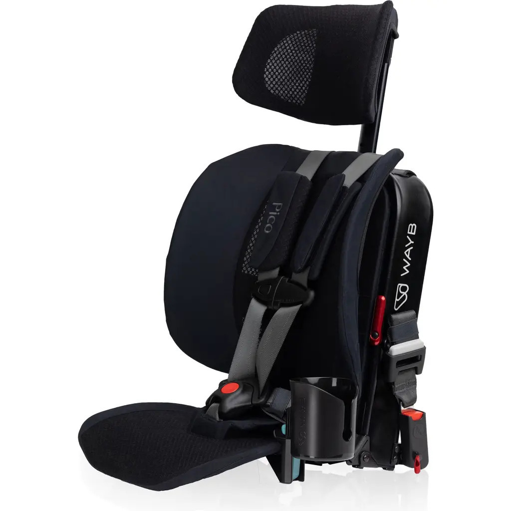 WAYB Pico Car Seat Cup Holder in Onyx at Nordstrom | Nordstrom