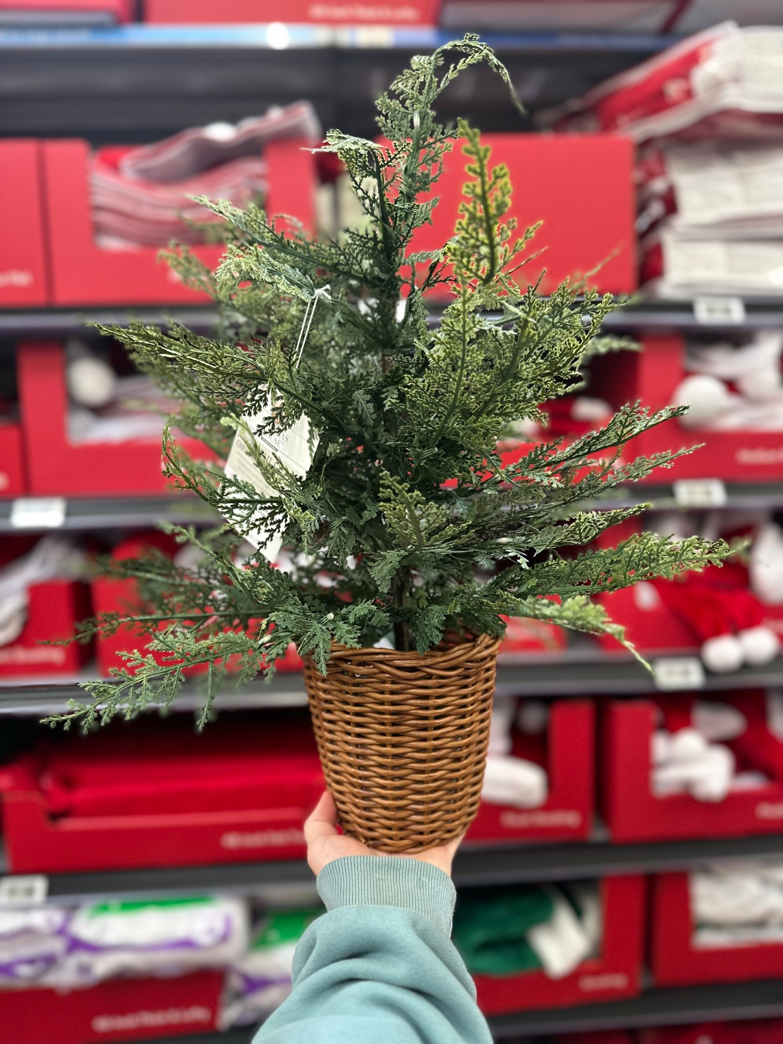 Love this little tree! ❤️

#LTKHoliday #LTKHome