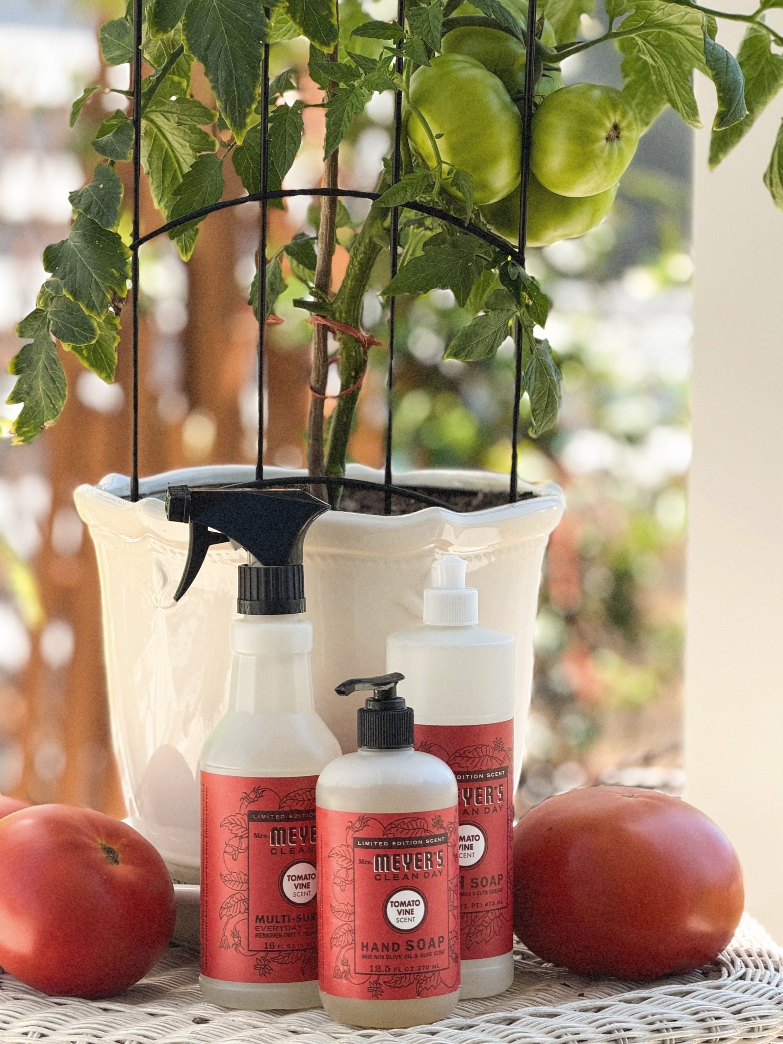 Summer garden goodness in a bottle. 🍅🌿

This scent smells like fresh tomato vines picked straight from the garden with the softest cottage home feel and a subtle floral hint mixed in. Clean, earthy, fresh & SO good for summer.

#LTKmorningroutine #LTKSeasonal #LTKHome