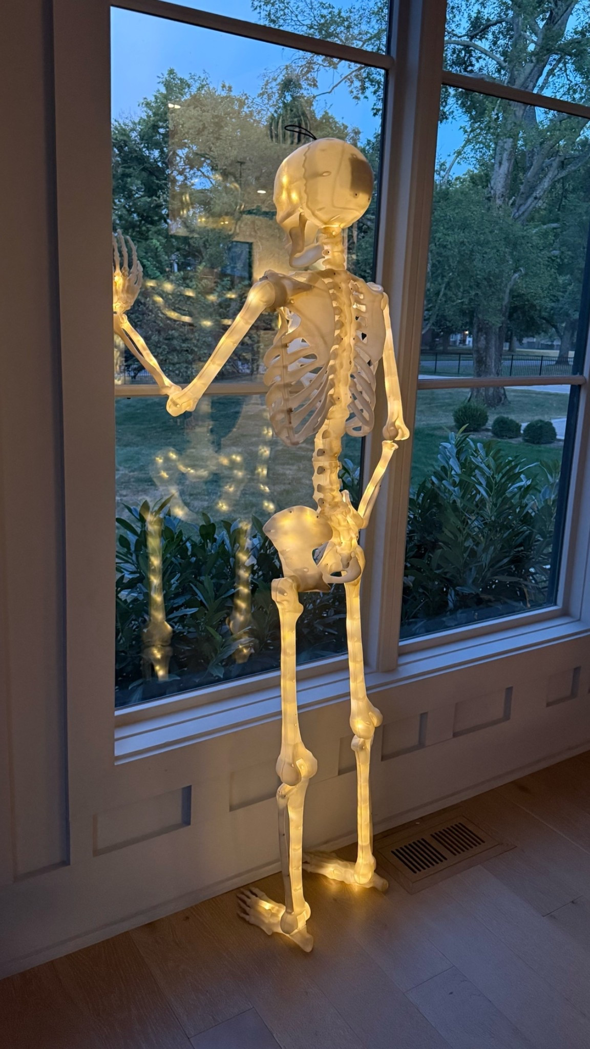 My light up skeleton is only $30 this year! I paid $40 last year. Super sturdy and pose-able

#LTKSeasonal #LTKHome
