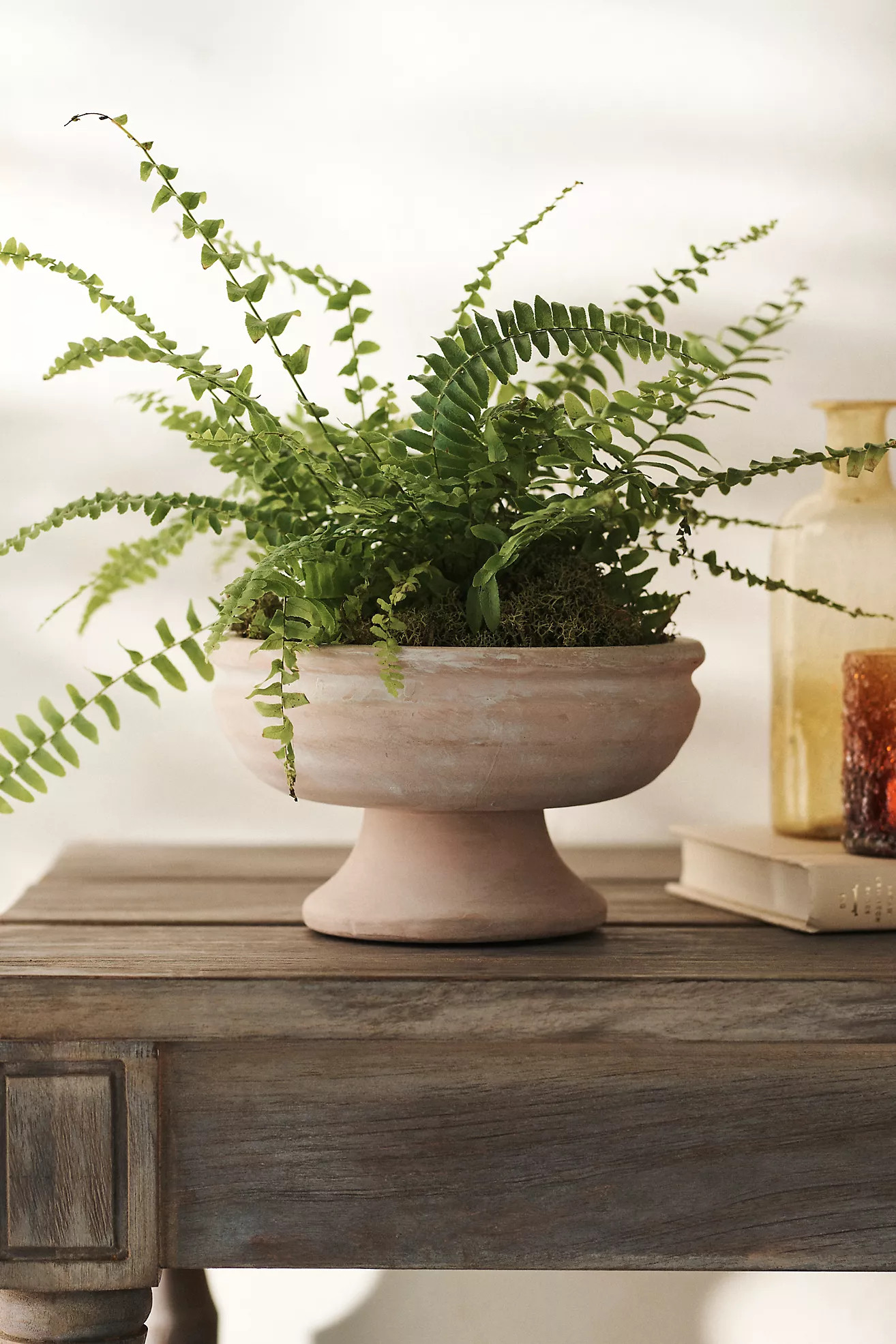 Wide Bowl Urn Planter | Anthropologie (US)