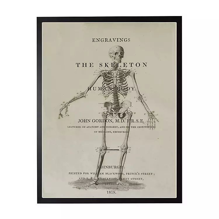 Skeleton Framed Halloween Wall Art | Kirkland's Home