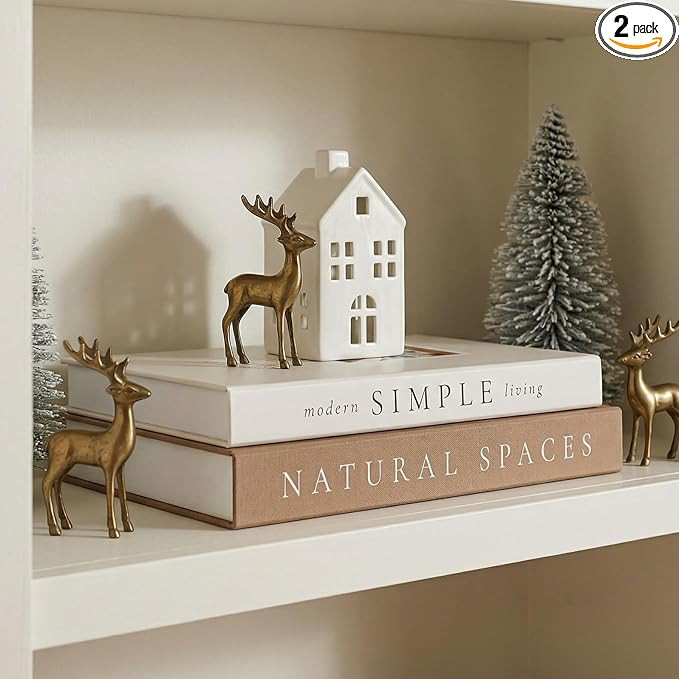 Beautiful Decorative Books - Set of 2 Boxes Enhance Your Coffee Table, Bookshelf or Mantel Shelf ... | Amazon (US)