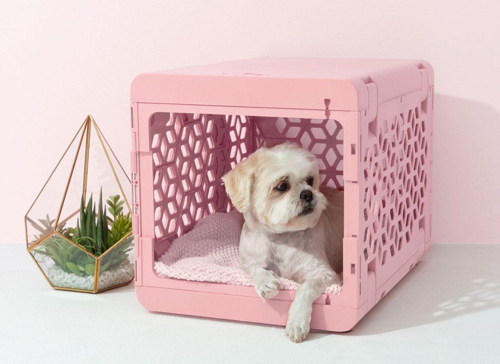 Kindtail Pawd Collapsible Dog & Cat Crate, Pink | Chewy.com