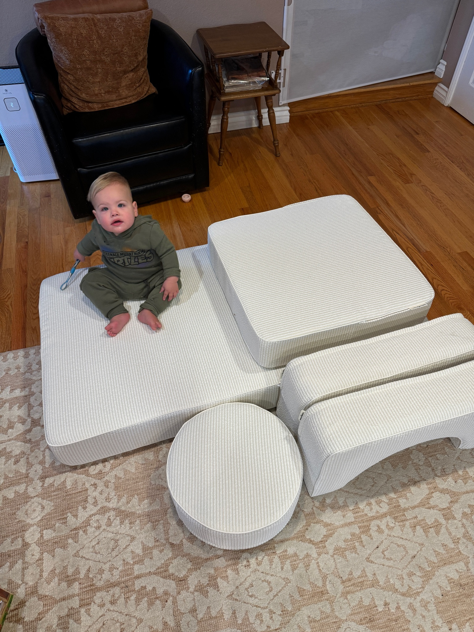New couch for Chase!