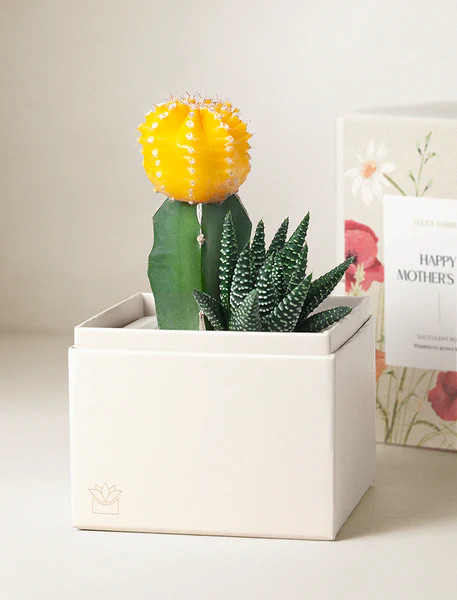 Mother's Day Ray Garden | Lula's Garden