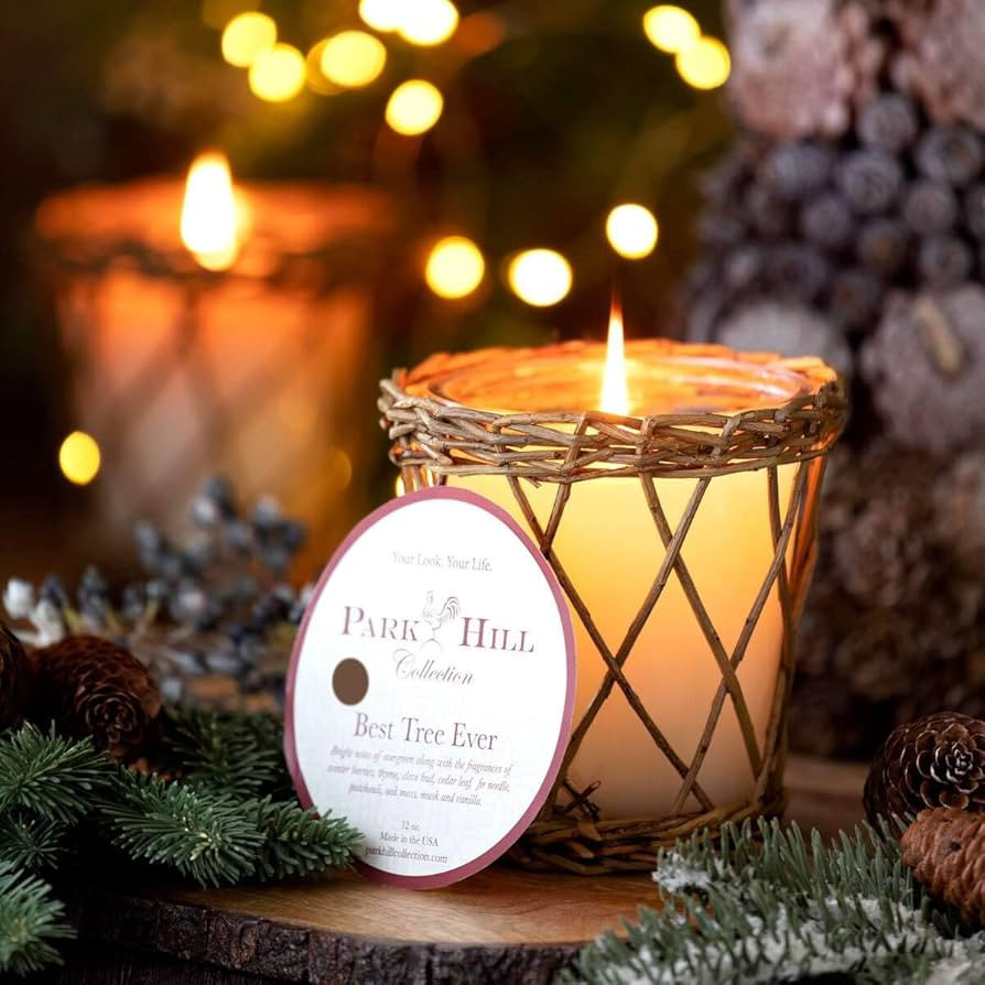 Park Hill Collection XNP10007 Best Tree Ever Willow Candle | Amazon (US)