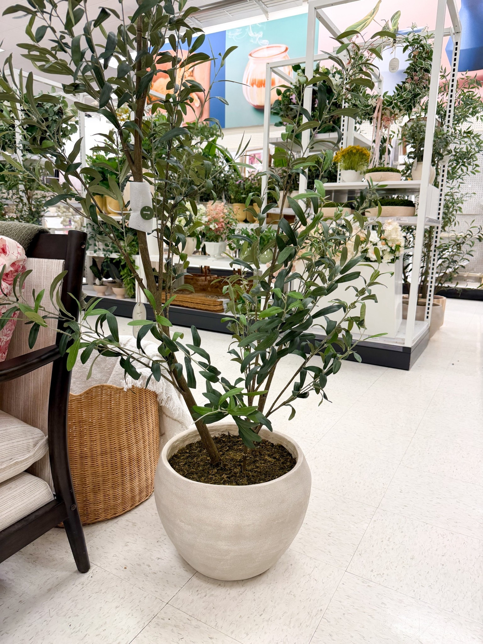This olive tree is the perfect spring decor in your home this spring season! Perfect to put in any corner of your home! 

#LTKHome #LTKSeasonal #LTKSpringSale