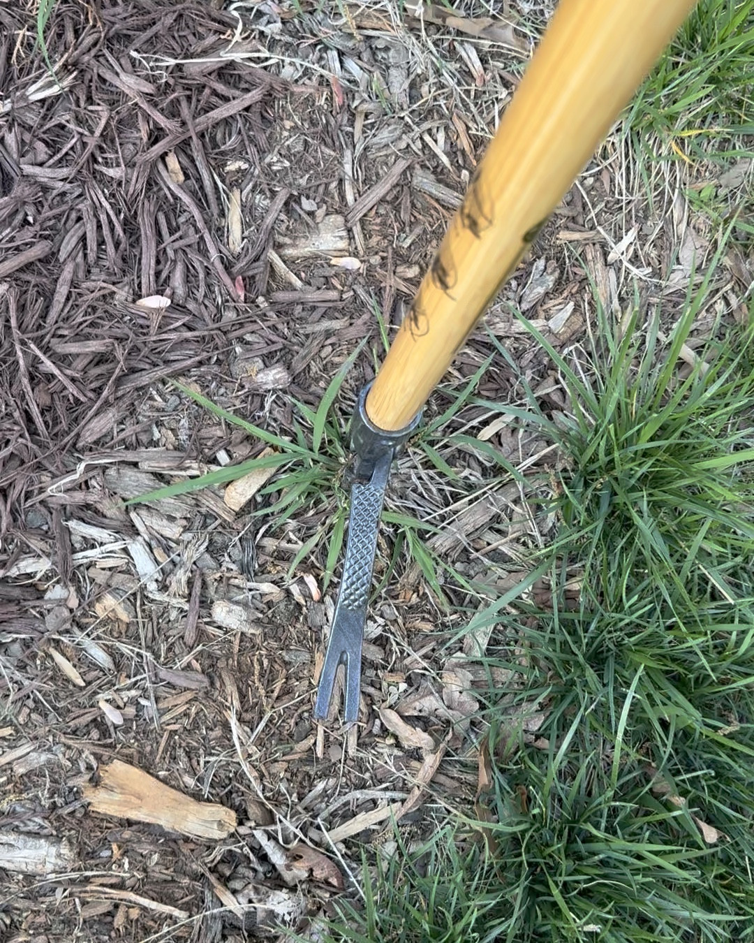 This thing is SO satisfying 👏

Pulled this entire root out in seconds — no bending, no digging, and no weeds coming back 🙌 

If you have a yard or landscaping… you need this.

Linked it for you 🤎

#LTKSaleAlert #LTKHome