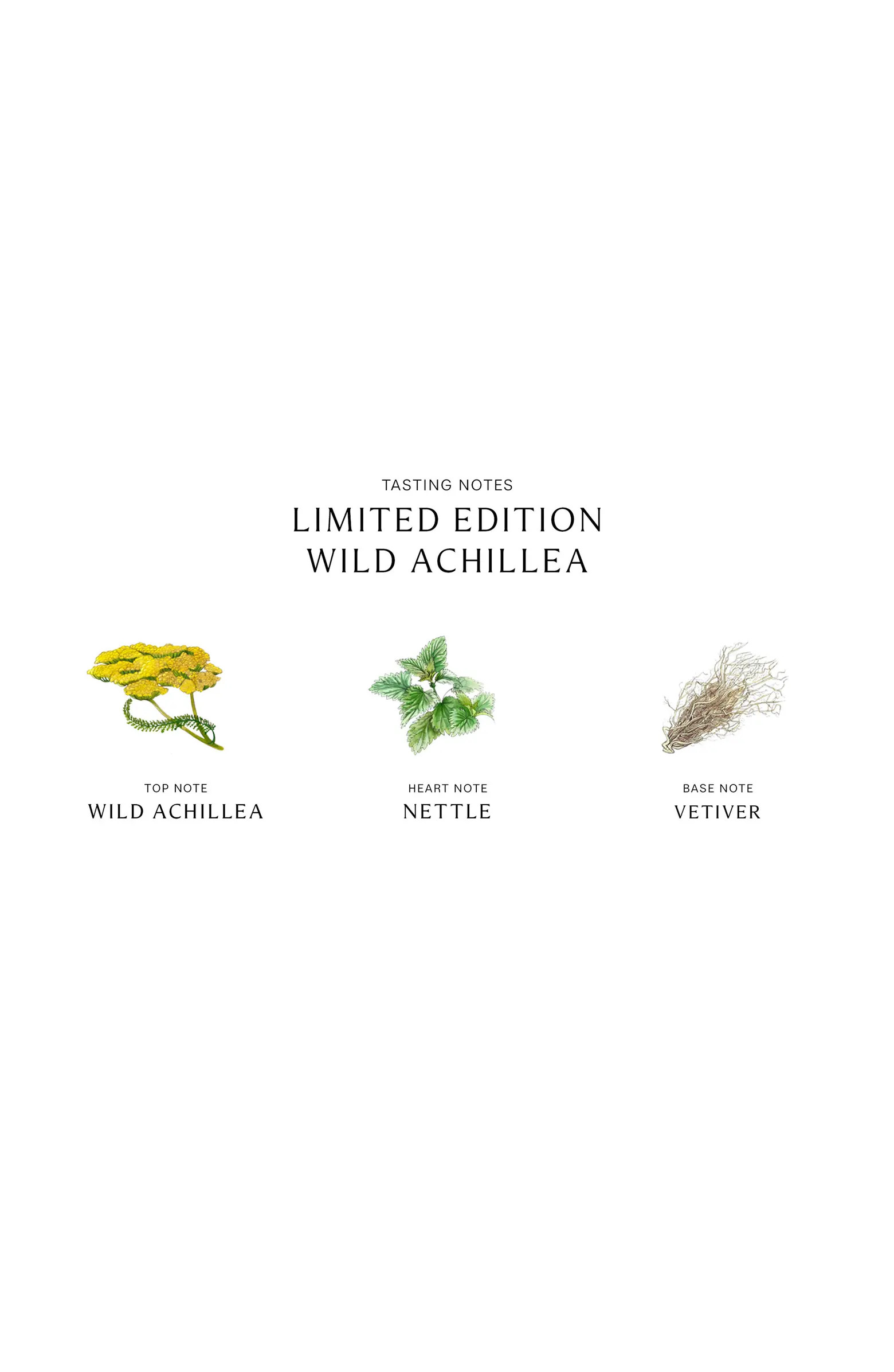 Wild Achillea Cologne | Nordstrom