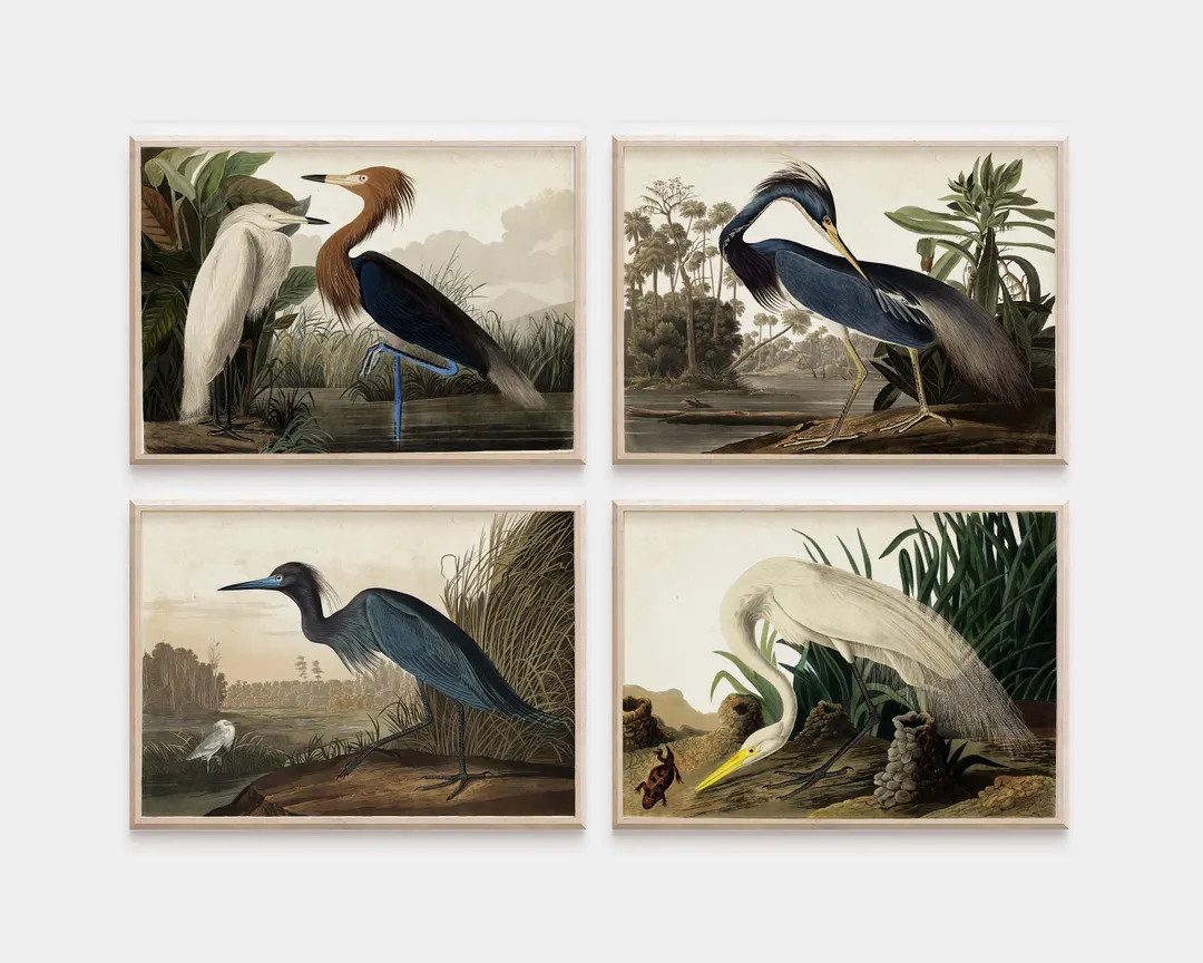 Vintage Heron Art Prints: Audubon Bird Illustrations, Set of 4 - Etsy | Etsy (US)