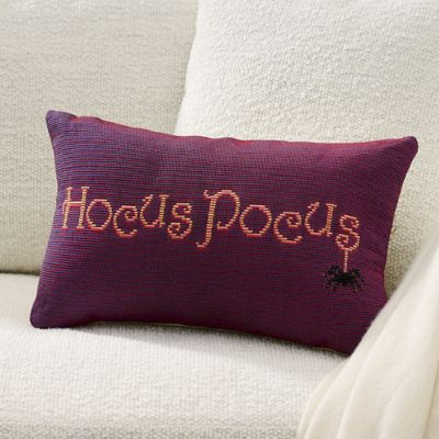 Hocus Pocus Pillow | Grandin Road | Grandin Road