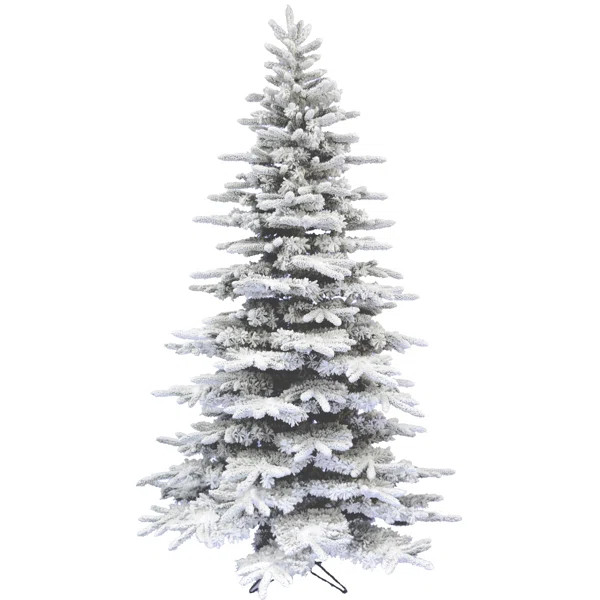 10' H | Wayfair North America