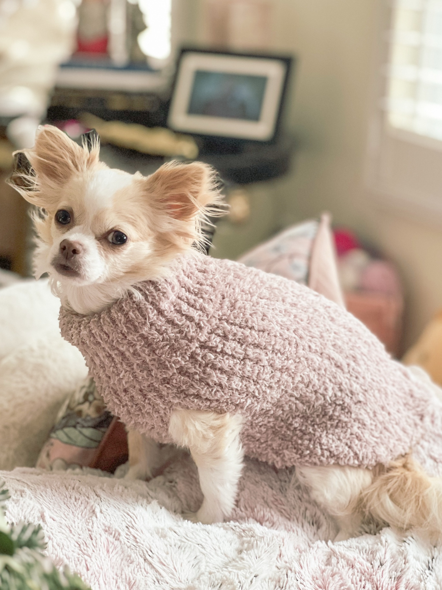 Frigid temps means warm sweaters for Linnie. This barefoot dreams sweater is so soft & cozy & perfect for these cold wintery days. 

#LTKGiftGuide #LTKFamily #LTKSeasonal