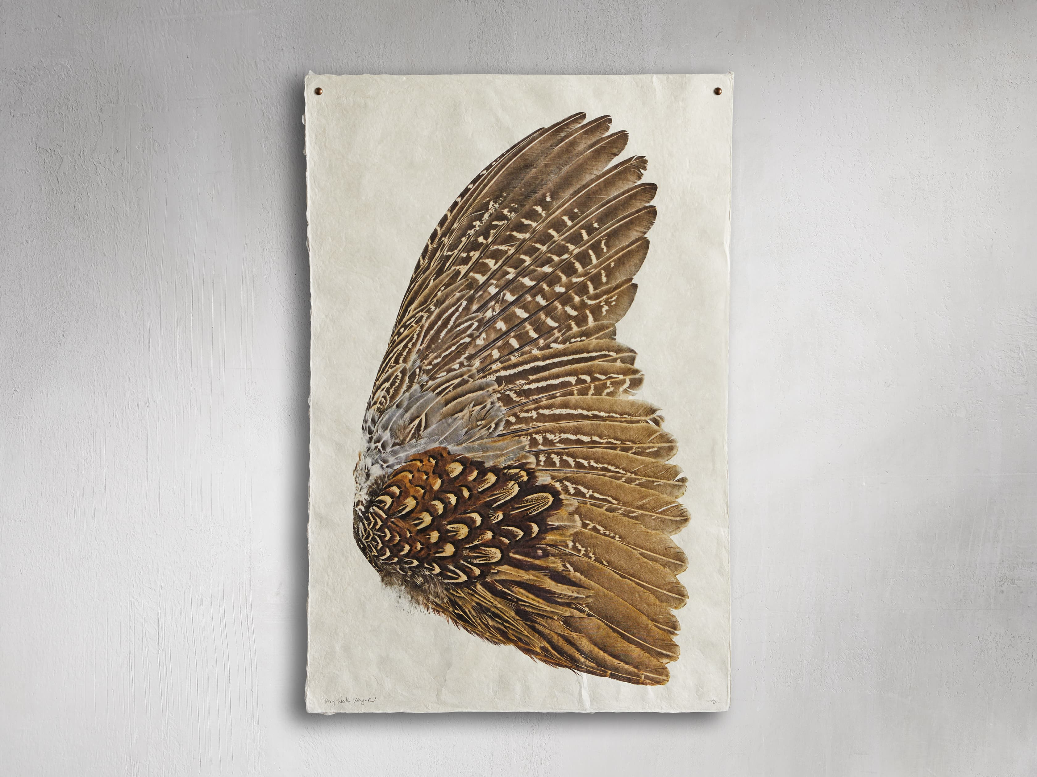 Pheasant Wing Right Print | Arhaus