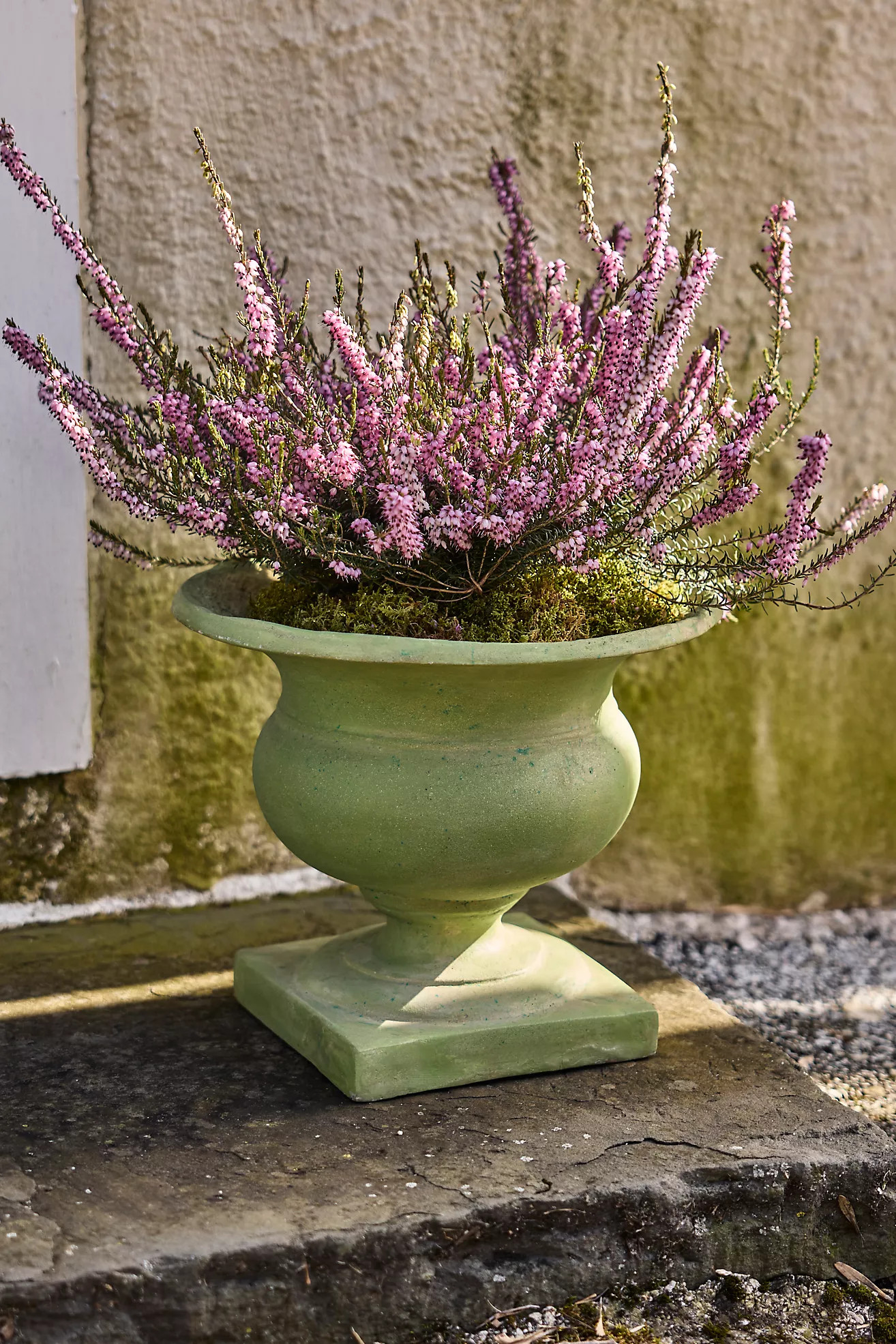 Green Cast Stone Urn | Anthropologie (US)