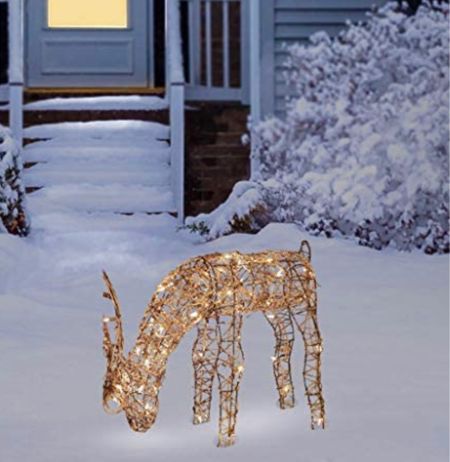 Christmas Decoration Deer

#LTKHoliday #LTKGiftGuide #LTKSeasonal
