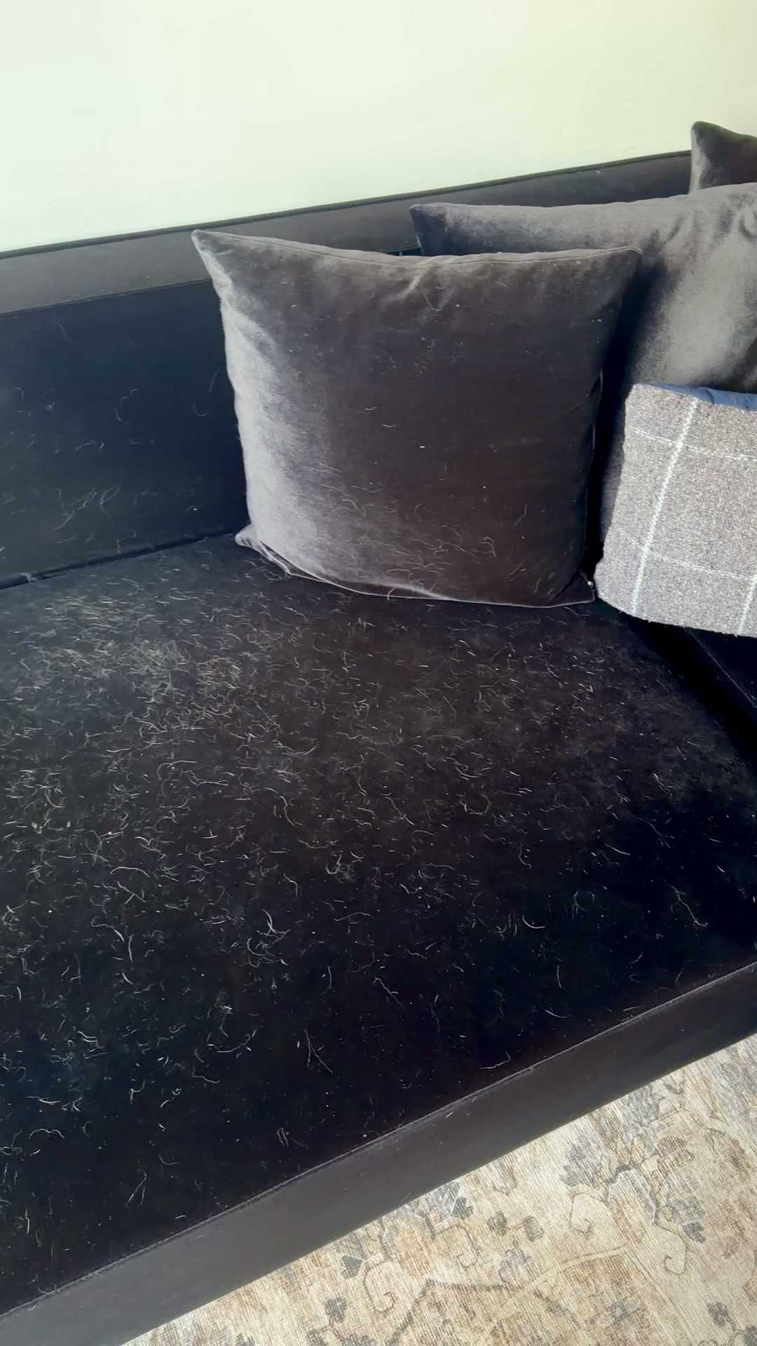 The best hair removal tool for my velvet couch!

#LTKHome
