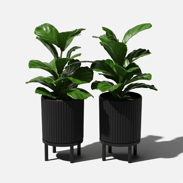 Demi Series Planter with Stand | Wayfair North America