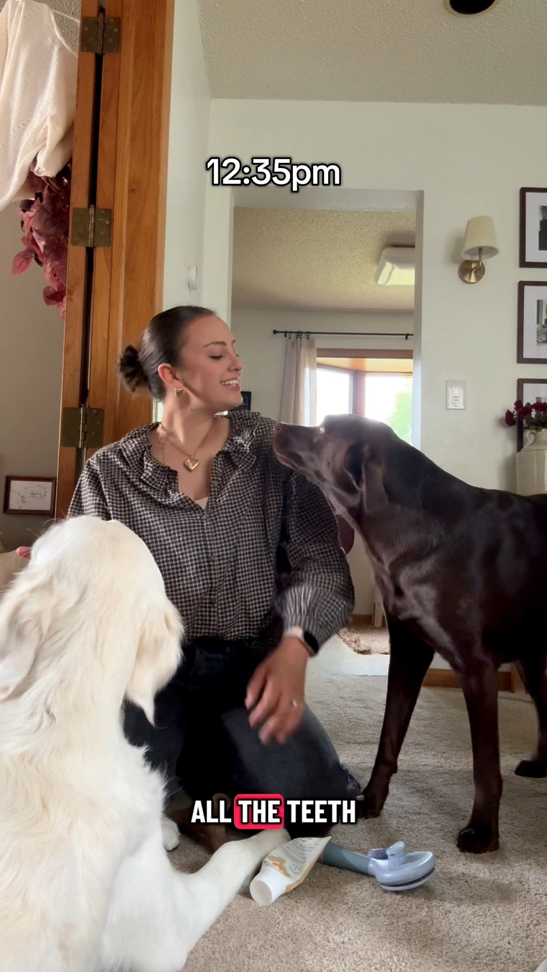 This is our 1 hour lunch break routine before I head back to the office! 🐶💻

#dogmom #corporatelife #dogproducts

#LTKSaleAlert #LTKPets