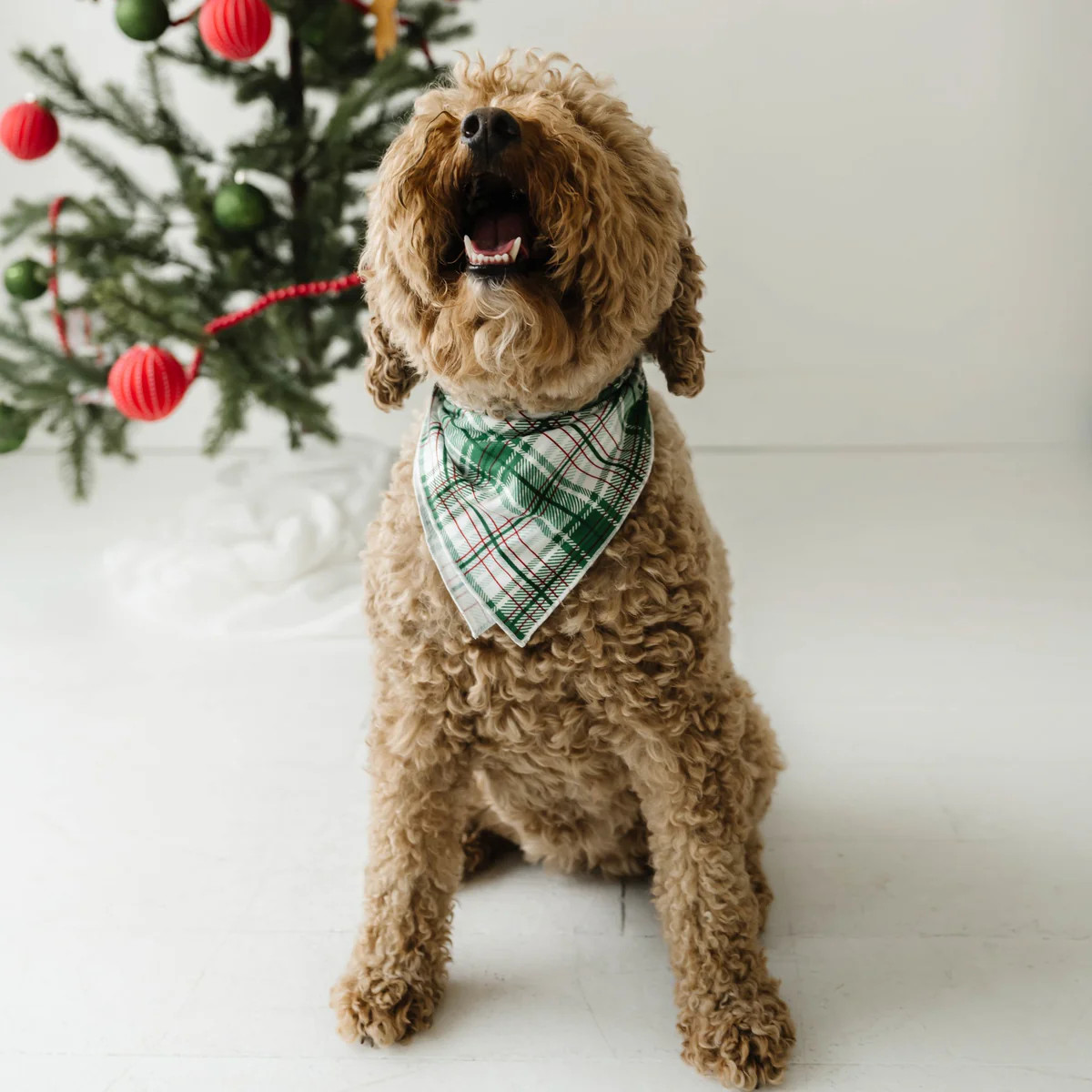 Noel Plaid Bamboo Viscose Pet Bandana | Little Sleepies