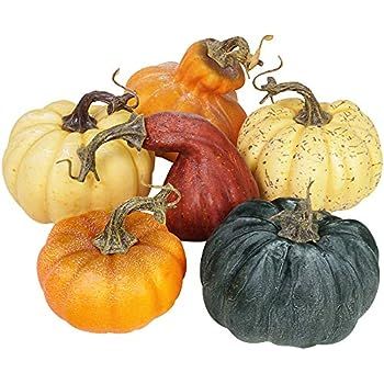 Package of 6 Assorted Artificial Frosted Gourds and Pumpkins Harvest Pumpkins for Fall Wedding Th... | Amazon (US)