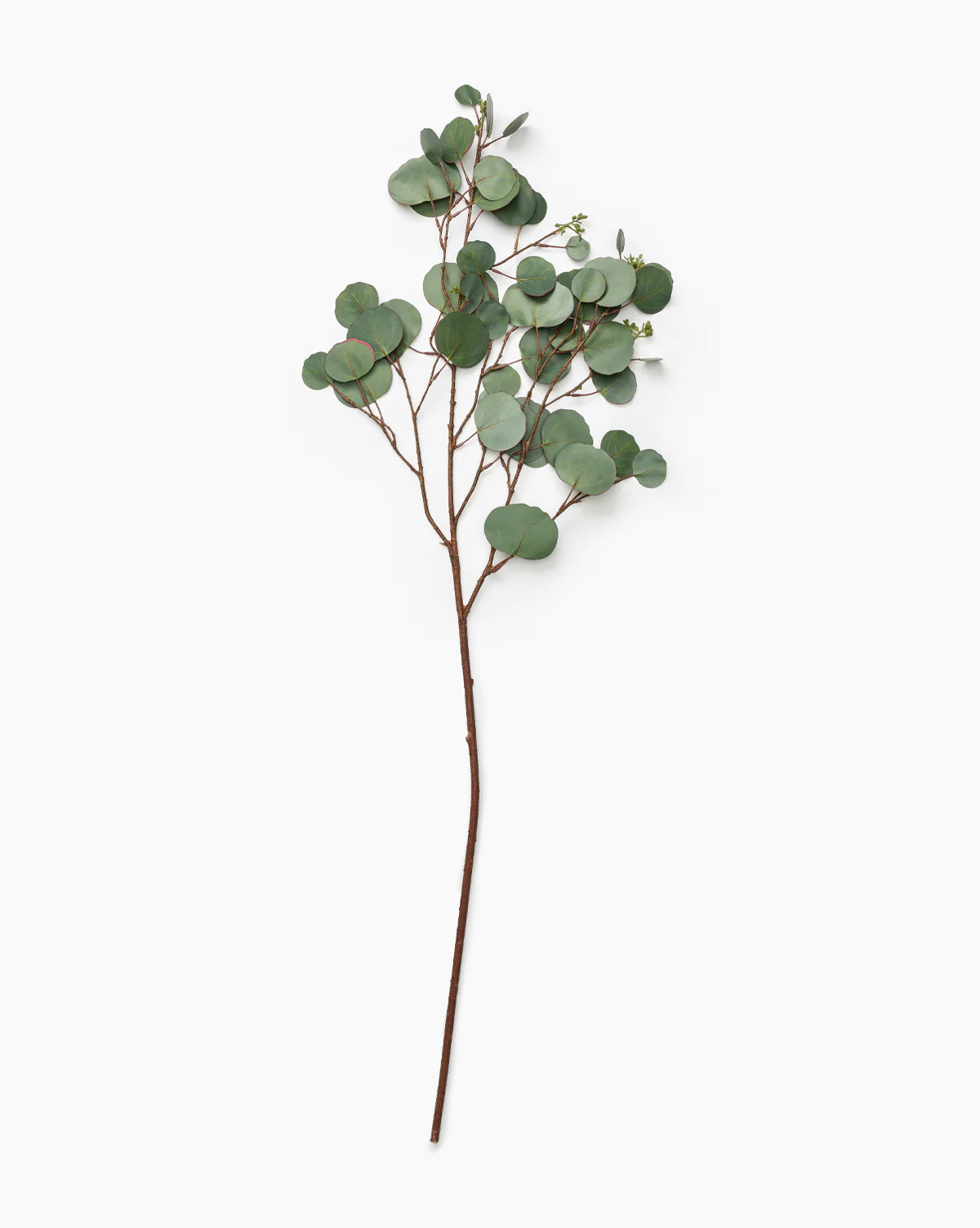 Faux Seeded Dollar Eucalyptus Stem | McGee & Co. (US)