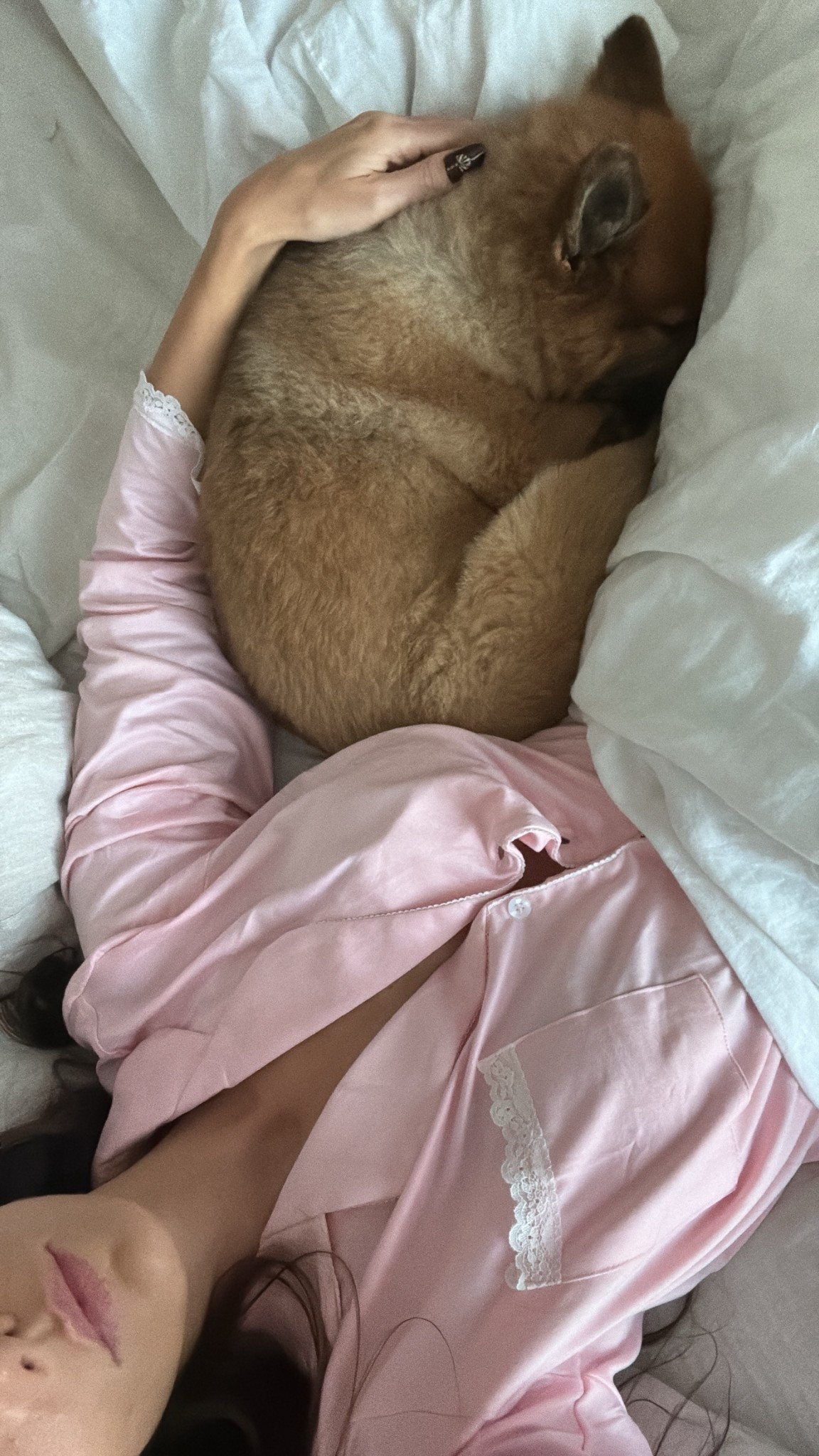 Tonight looks like this… 



#LTKHome #LTKStyleTip #LTKFindsUnder100