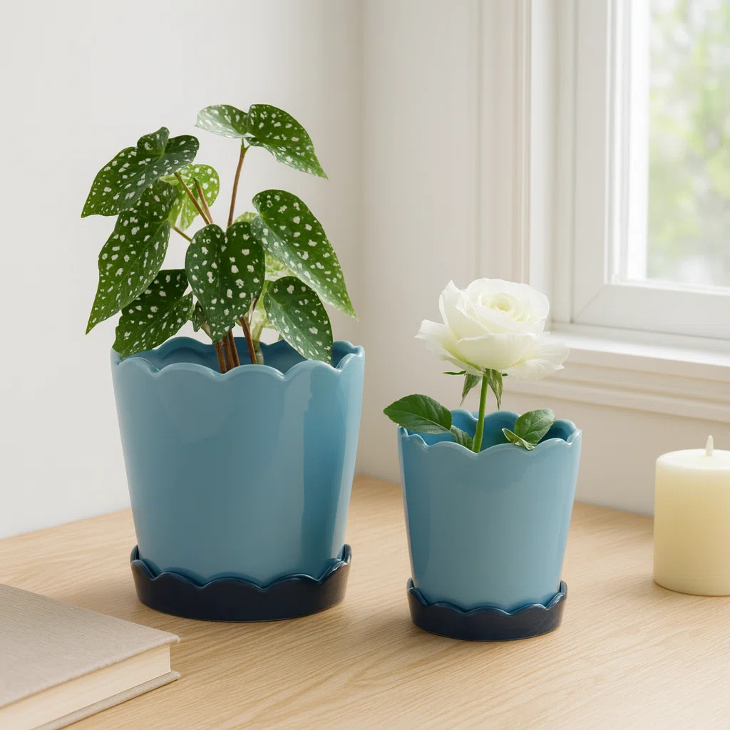 Decorative Glazed Planters With Saucers for Indoor & Outdoor Patio Use -  Scalloped Flower Pots H... | Wayfair North America
