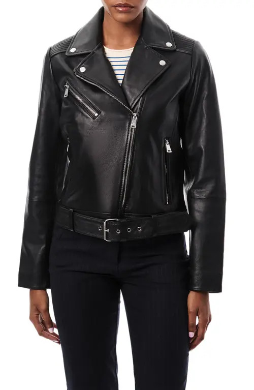 Bernardo Crop Leather Moto Jacket in Black at Nordstrom, Size X-Large | Nordstrom